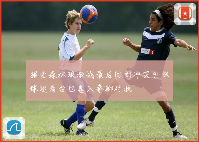 掘金森林狼激战最后时刻冲突升级球迷看台也卷入拳脚对抗